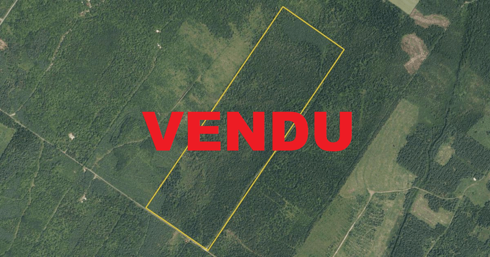 Lot D'ordinateurs Vendu En L'état – Matériel Dell Gris D'occasion